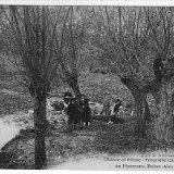 Chasse et peche platerons