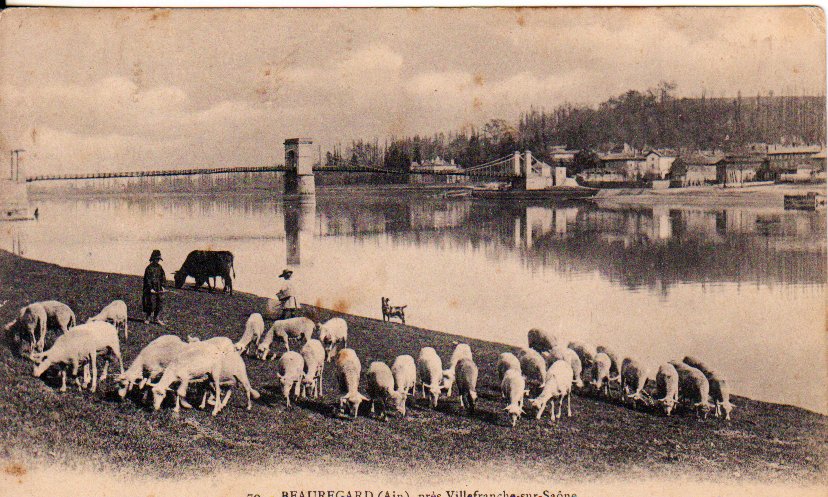 Pont de Beauregard dans  la Dombes