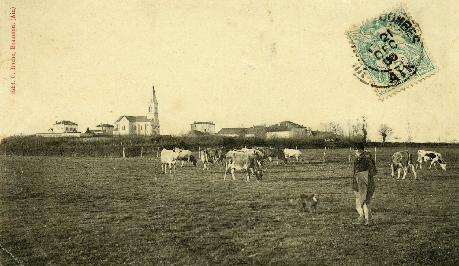 Vue générale de Birieux en Dombes en 1906