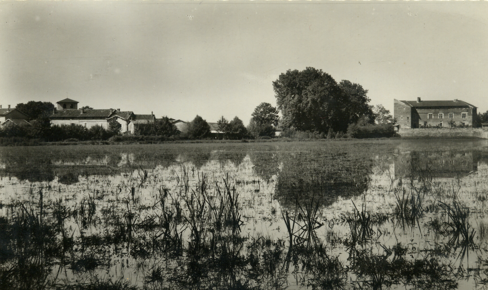 Chateau_15_GB.jpg - Le chateau de Bouligneux en 1956