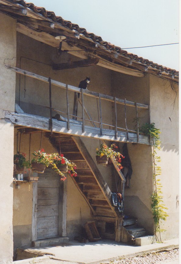 Ferme dans la région de Chanoz Chatenay dans la Dombes