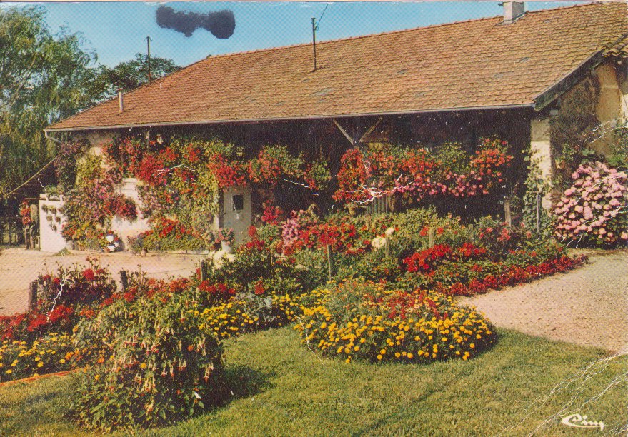 La ferme Monterrat à Chanoz Chatenay dans la Dombes