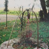 Vestige de l'ancien puits de la ferme de Champ de Biziat à Chanoz Chatenay dans la Dombes Vestige de l'ancien puits de la ferme de Champ de Biziat à Chanoz Chatenay dans la Dombes