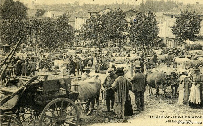 B_Champ_Foire_11_DR