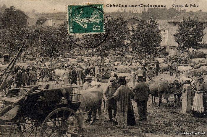 B_Champ_Foire_11_JV