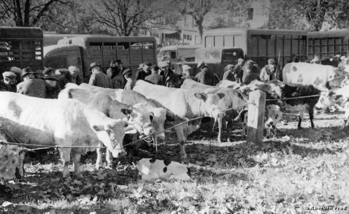 B_Champ_Foire_23_CA_1