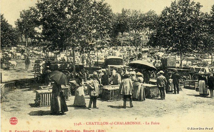 B_Champ_Foire_33_AB