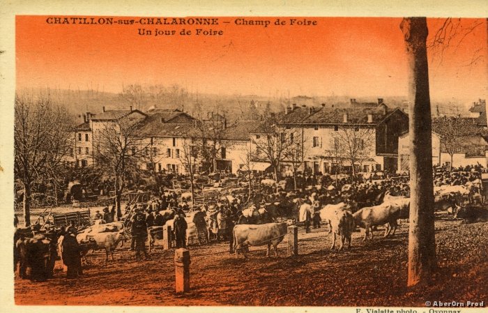 B_Champ_Foire_9_JV