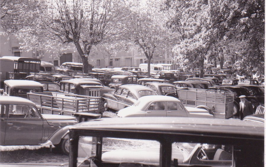 Marché à Chatillon sur Chalaronne dans la Dombes en 1959