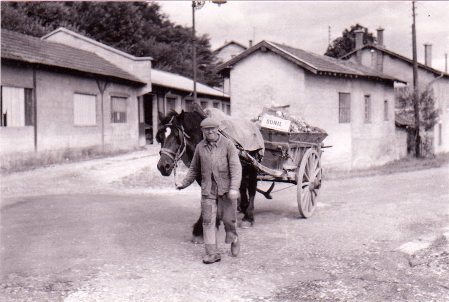 Cheval des cantonniers à Chatillon sur Chalaronne dans la Dombes en 1958