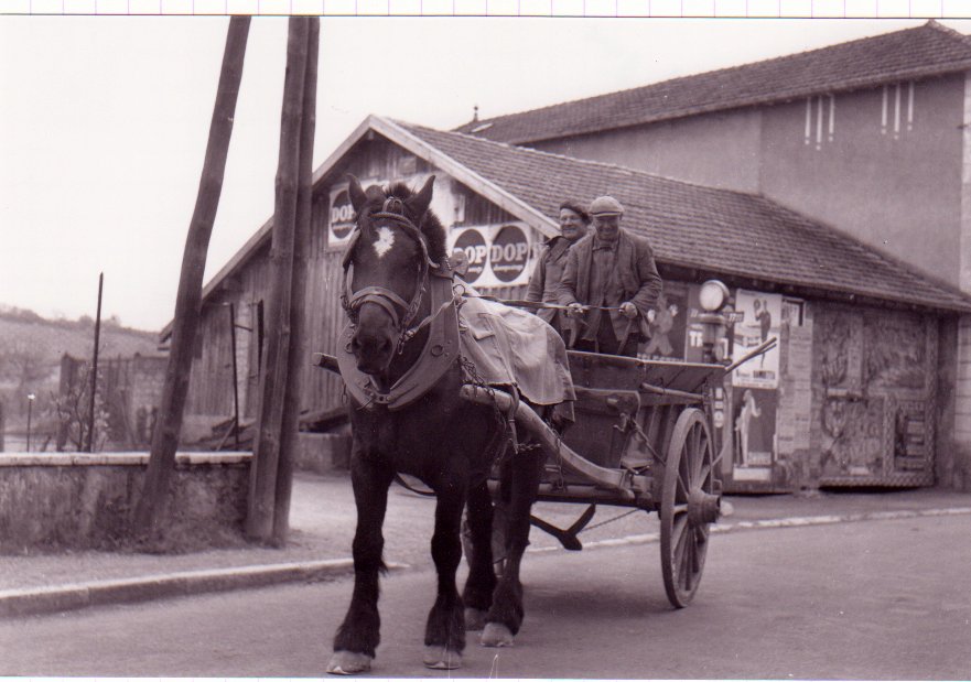 Cheval des cantonniers à Chatillon sur Chalaronne dans la Dombes en 1958