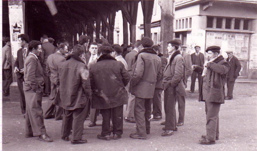 Foire de la Saint Martin à Chatillon sur Chalaronne sous les halles dans la Dombes en 1957
