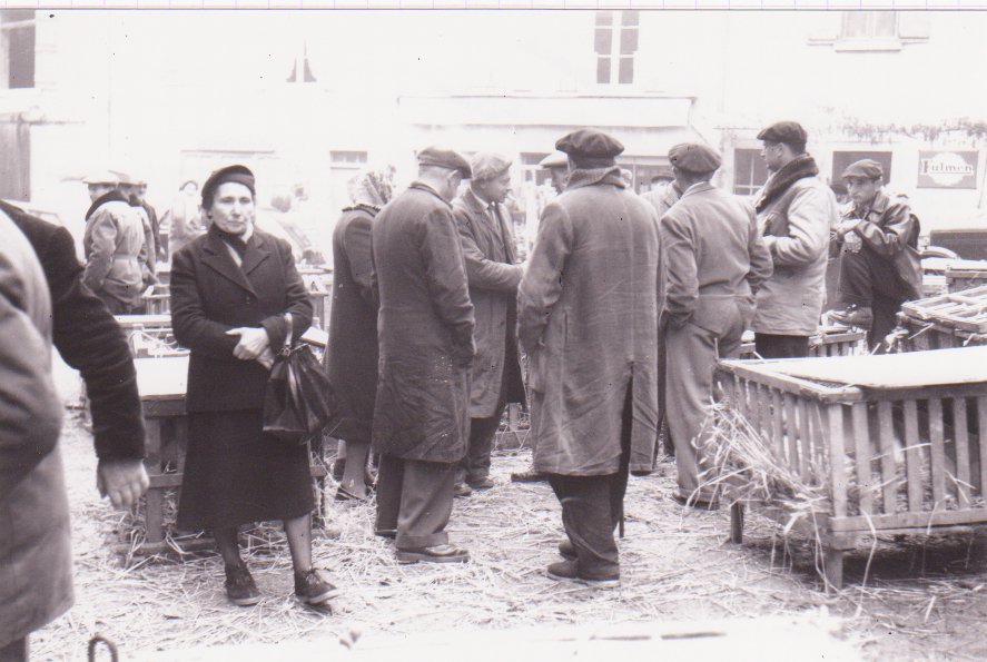 Foire de la saint Martin à Chatillon sur Chalaronne sous les halles dans la Dombes en 1958