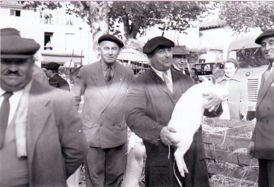 Foire de la Toussaint à Chatillon sur Chalaronne sous les halles dans la Dombes en 1956