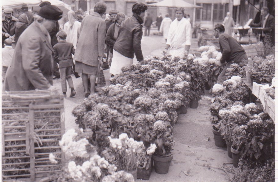 Foire de la Toussaint à Chatillon sur Chalaronne sous les halles dans la Dombes en 1965