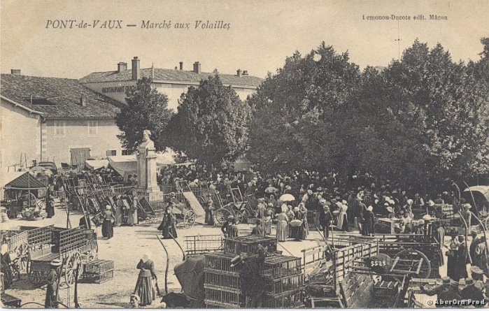 Marche_2_BE