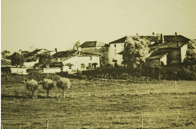 Vue_generale_2