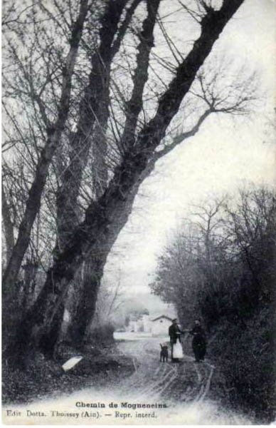Chemin_de_Mognbeneins