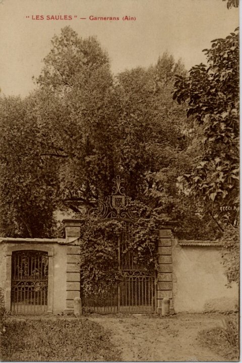 Les_saules_2_BE