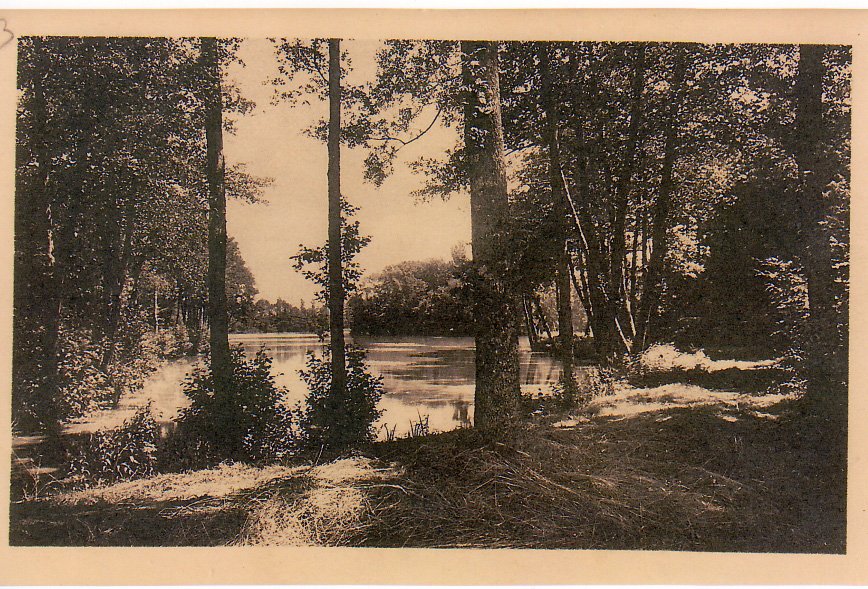 Etang du château de la Chassagne à Neuville les Dames dans la Dombes