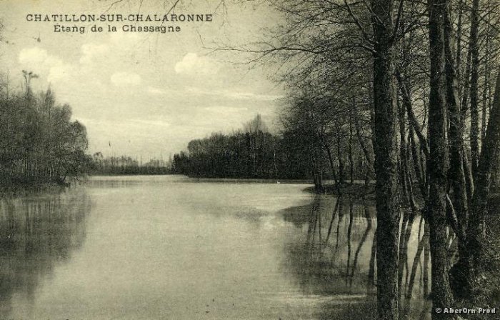 Etang du Chateau de la Chassagne à Neuville les Dames dans la Dombes 