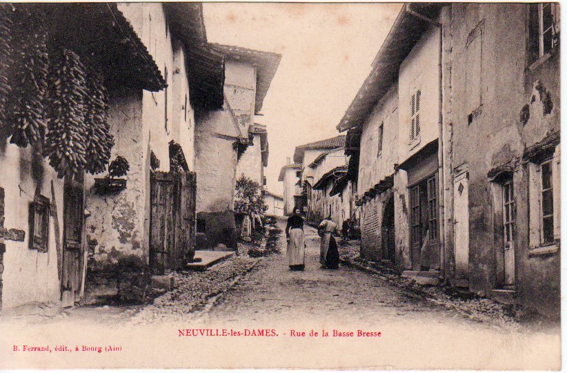 Rue de la Basse Bresse à Neuville les Dames dans la Dombes