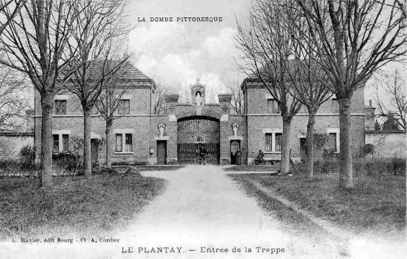 Original image