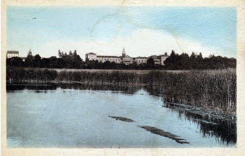 Original image