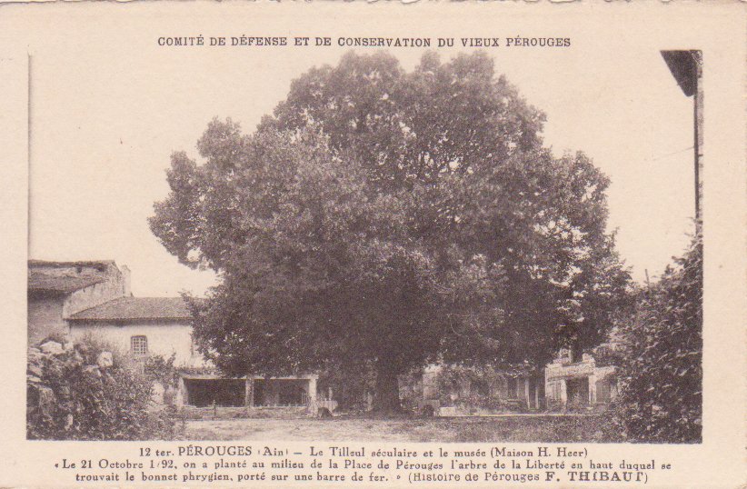 12Ter_Tilleul_maison_st_georges