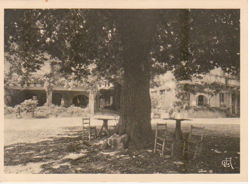 6_Tilleul_maison_st_georges_2