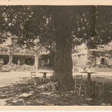 6_Tilleul_maison_st_georges_2