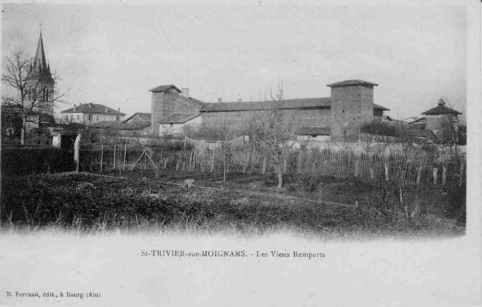 Les vieux remparts de Saint Trivier sur Moignans