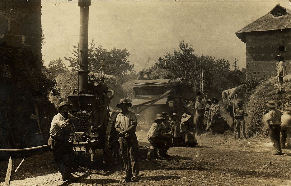 Moissons à Saint Triviers sur Moignans dans la Dombes en 1912