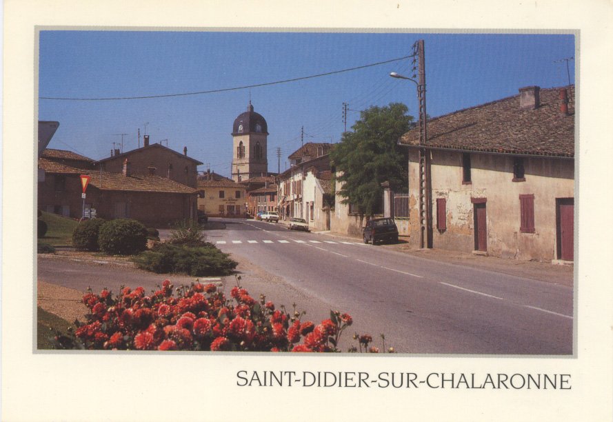 Vue générale à saint Didier sur Chalaronne dans la Dombes