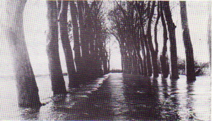 Inondation allée du Port  du 20 au 24 janvier 1910 à Thoissey dans la Dombes