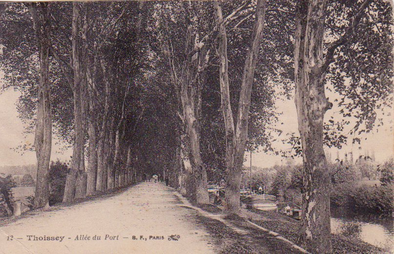 Allee_du_port