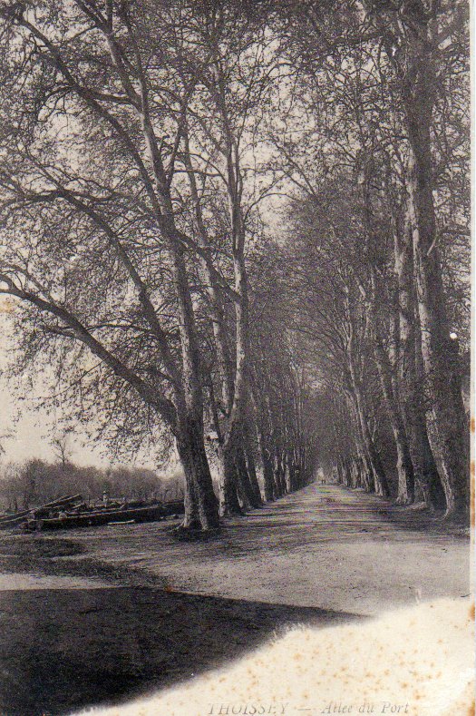 Allee_du_port_2