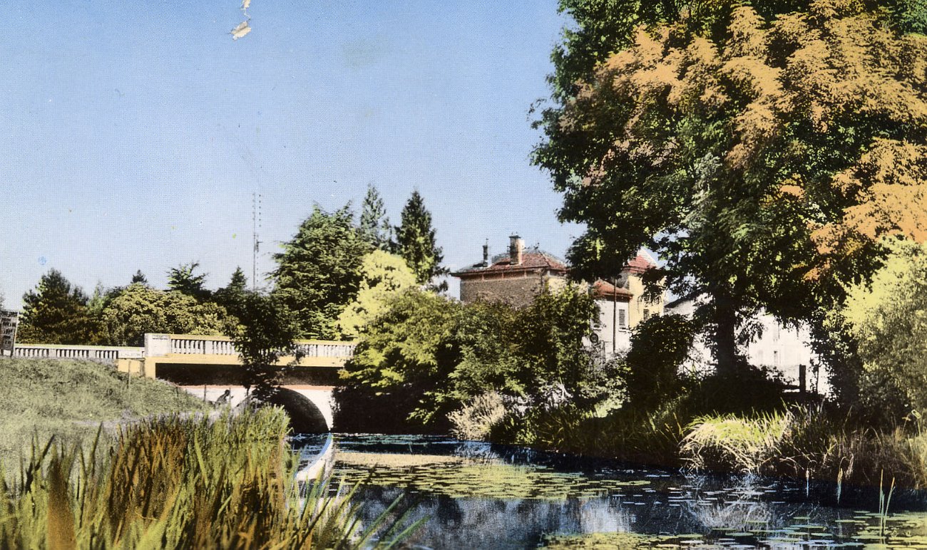 Bords de la Chalaronne à Villars les Dombes