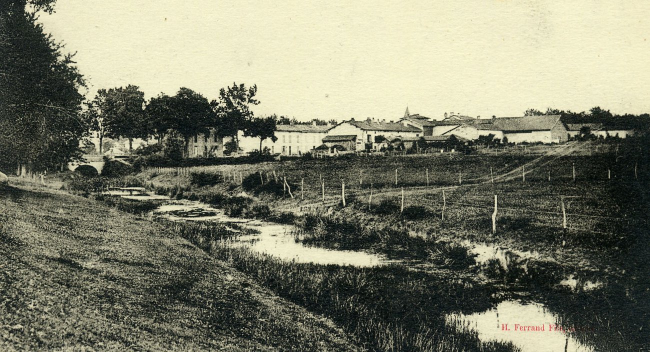Bords de la Chalaronne à Villars les Dombes