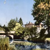 Bords de la Chalaronne à Villars les Dombes