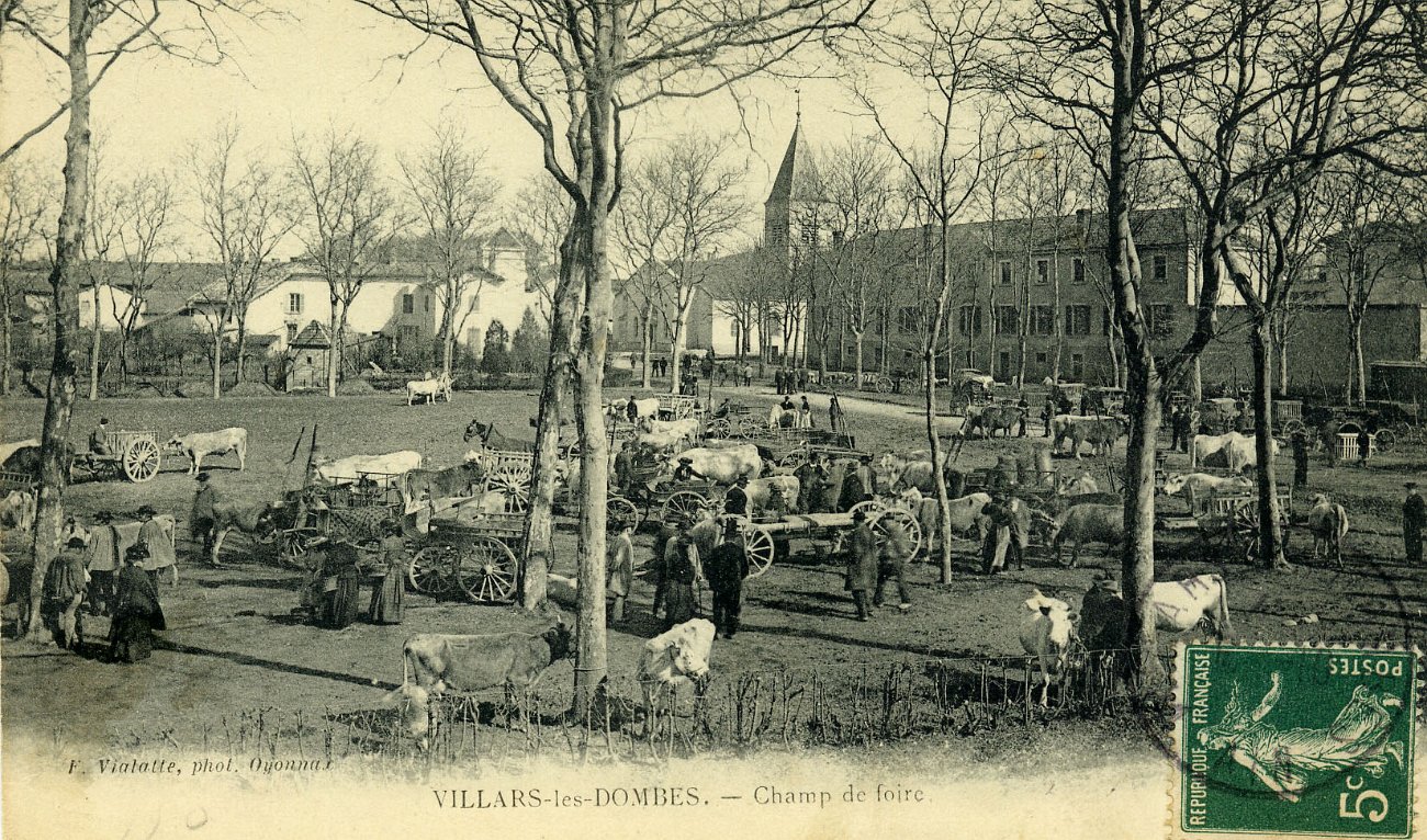Champ de foire à Villars les Dombes