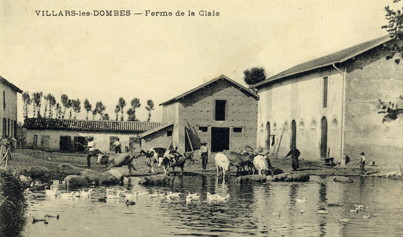 Ferme de la Claie à Villars les Dombes en 1915