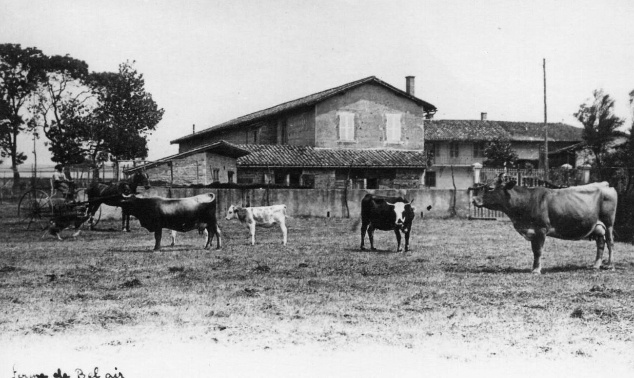Ferme de Bel Air à Villars les Dombes 