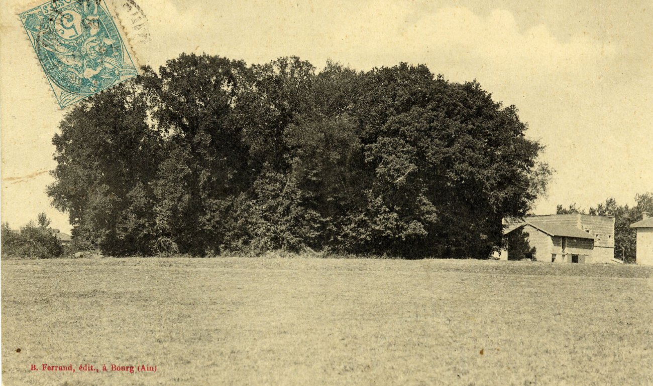 Poype du vieux donjon de Villars les Dombes en 1905