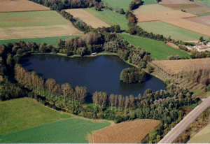 Etang de Tallard  Saint Etienne sur Chalaronne dans la Dombes