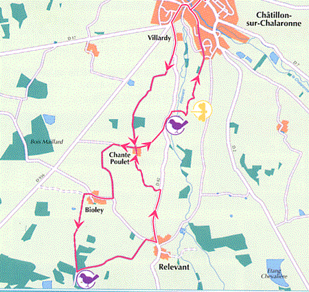 Circuit pdestre dans la Dombes autour de Chatillon sur Chalaronne Relevant