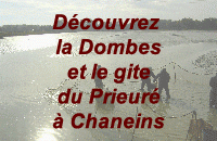 Publicite du Gite Le prieur  Chaneins dans la Dombes